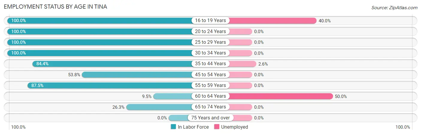 Employment Status by Age in Tina