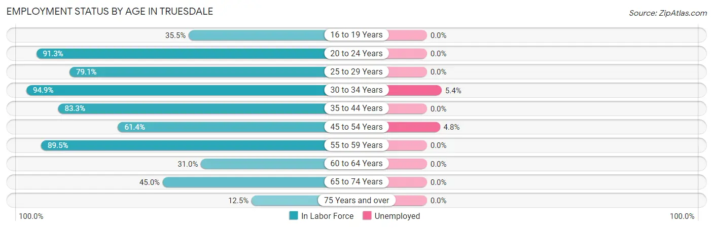 Employment Status by Age in Truesdale