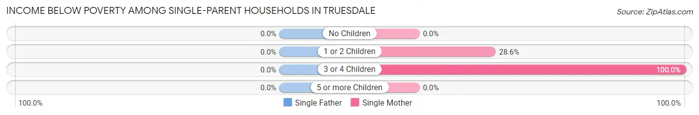 Income Below Poverty Among Single-Parent Households in Truesdale