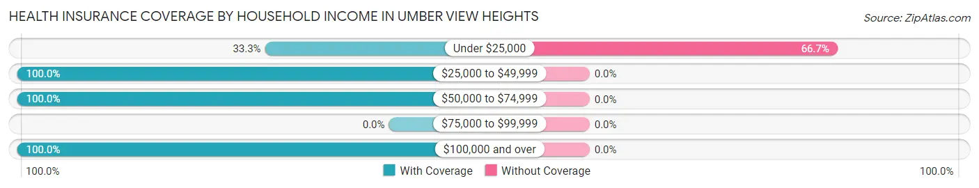 Health Insurance Coverage by Household Income in Umber View Heights