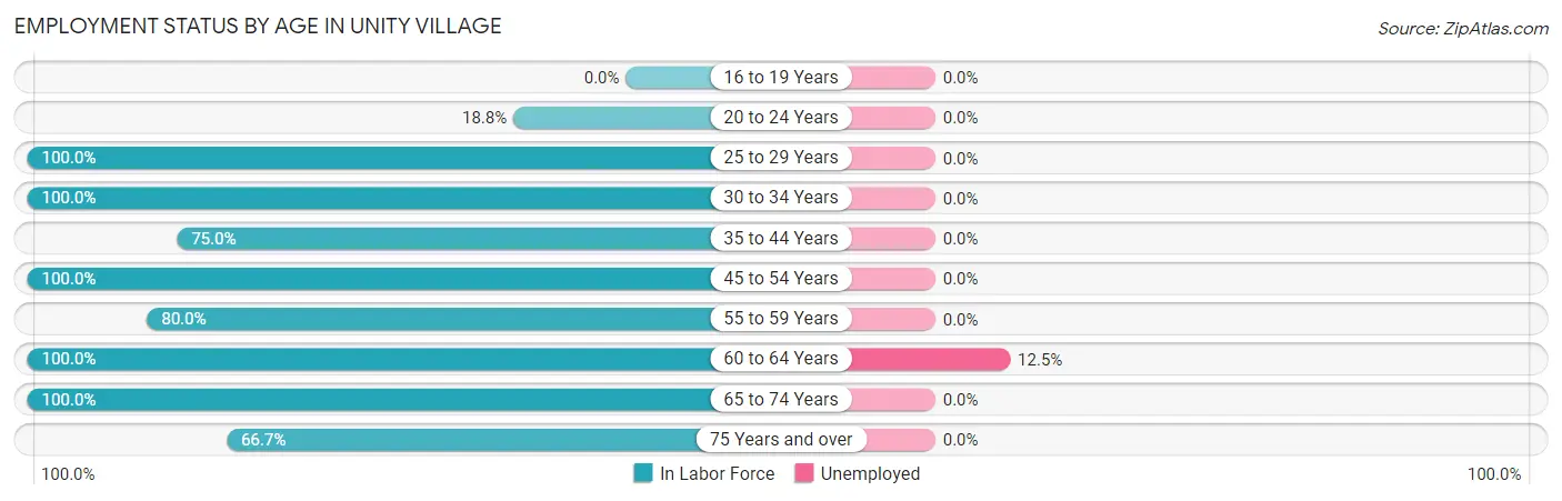 Employment Status by Age in Unity Village