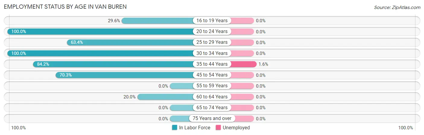 Employment Status by Age in Van Buren