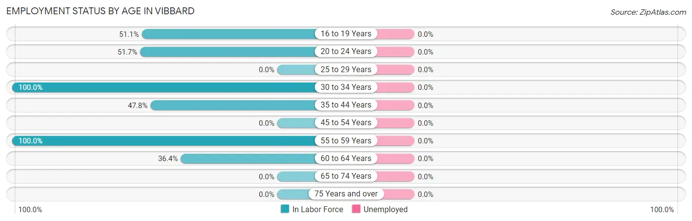 Employment Status by Age in Vibbard