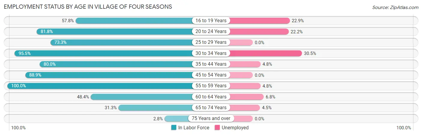 Employment Status by Age in Village of Four Seasons