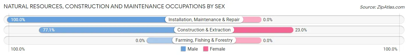 Natural Resources, Construction and Maintenance Occupations by Sex in Village of Four Seasons