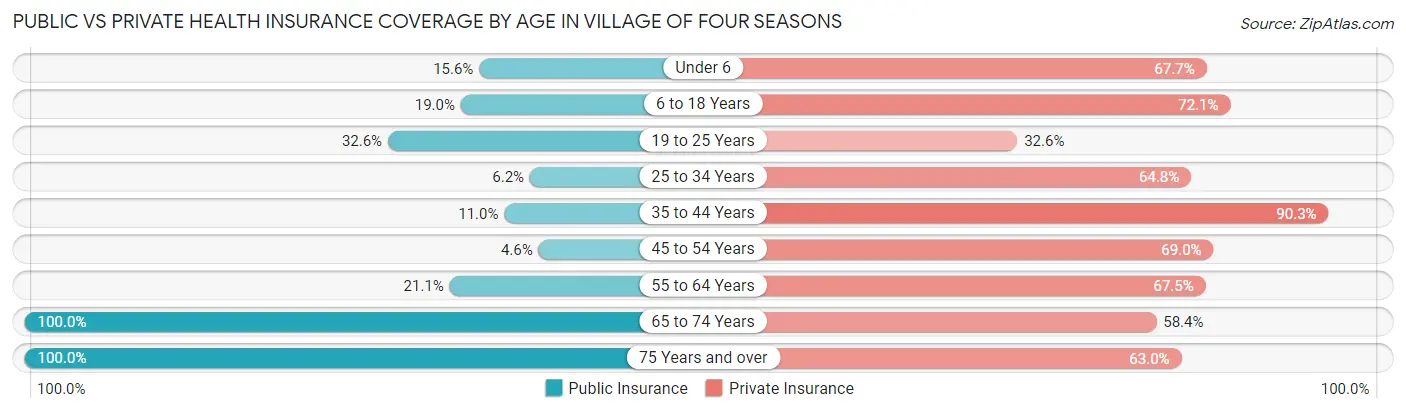 Public vs Private Health Insurance Coverage by Age in Village of Four Seasons