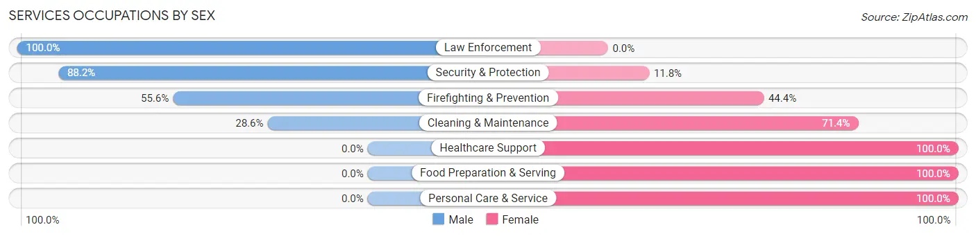 Services Occupations by Sex in Village of Four Seasons