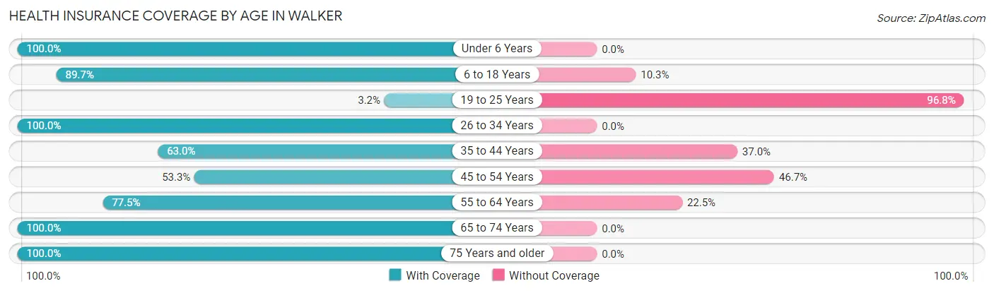 Health Insurance Coverage by Age in Walker
