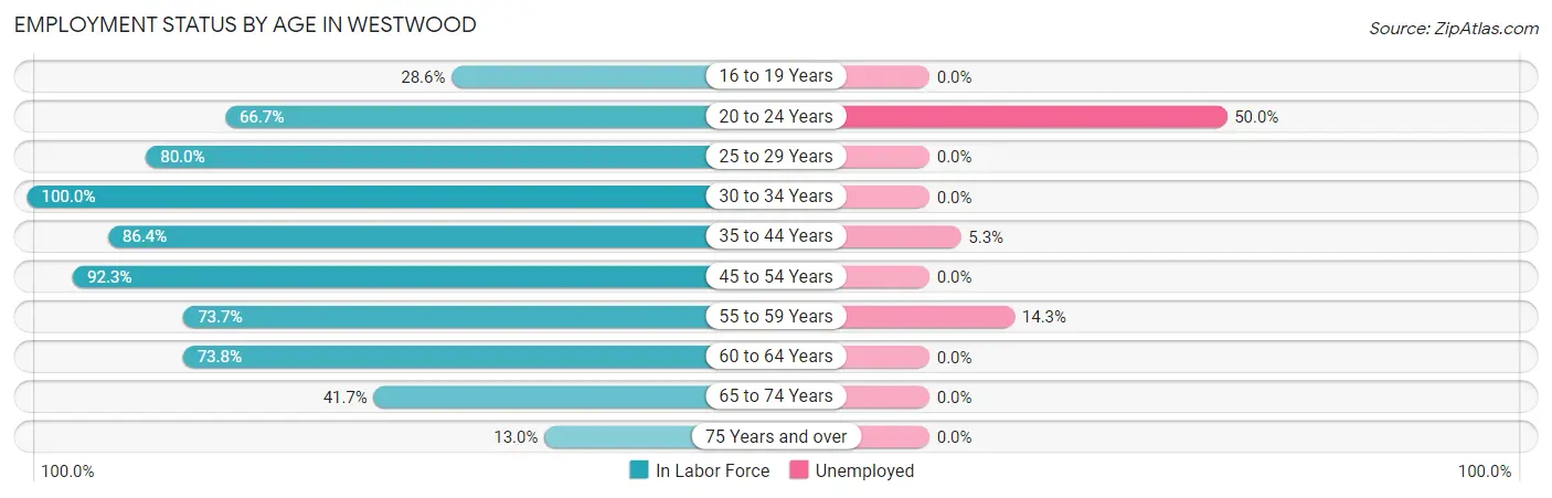 Employment Status by Age in Westwood