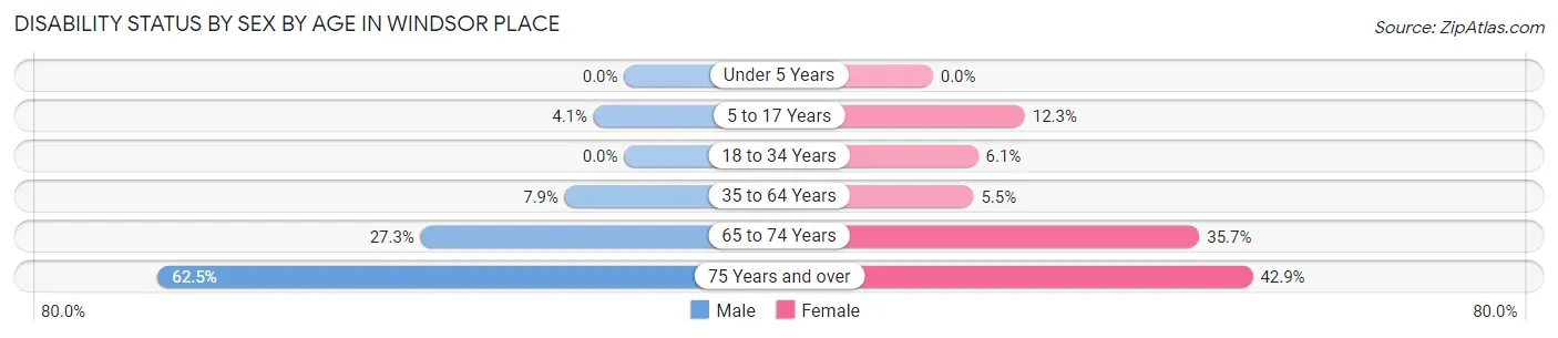 Disability Status by Sex by Age in Windsor Place