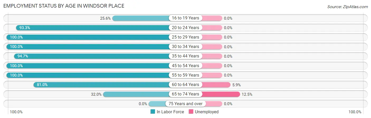 Employment Status by Age in Windsor Place
