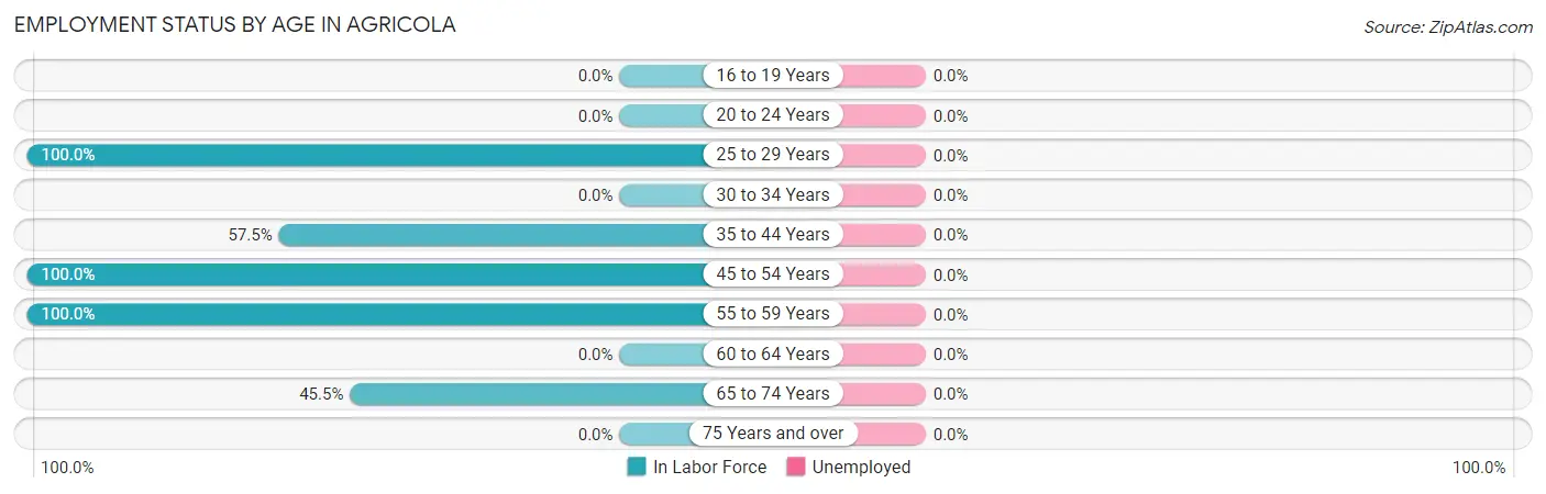 Employment Status by Age in Agricola