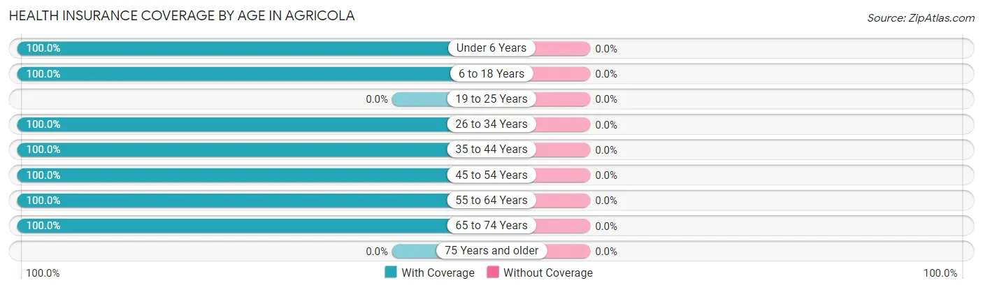 Health Insurance Coverage by Age in Agricola