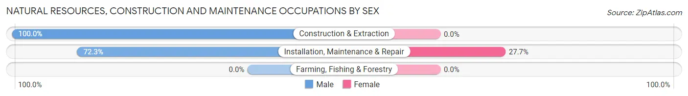 Natural Resources, Construction and Maintenance Occupations by Sex in Amory