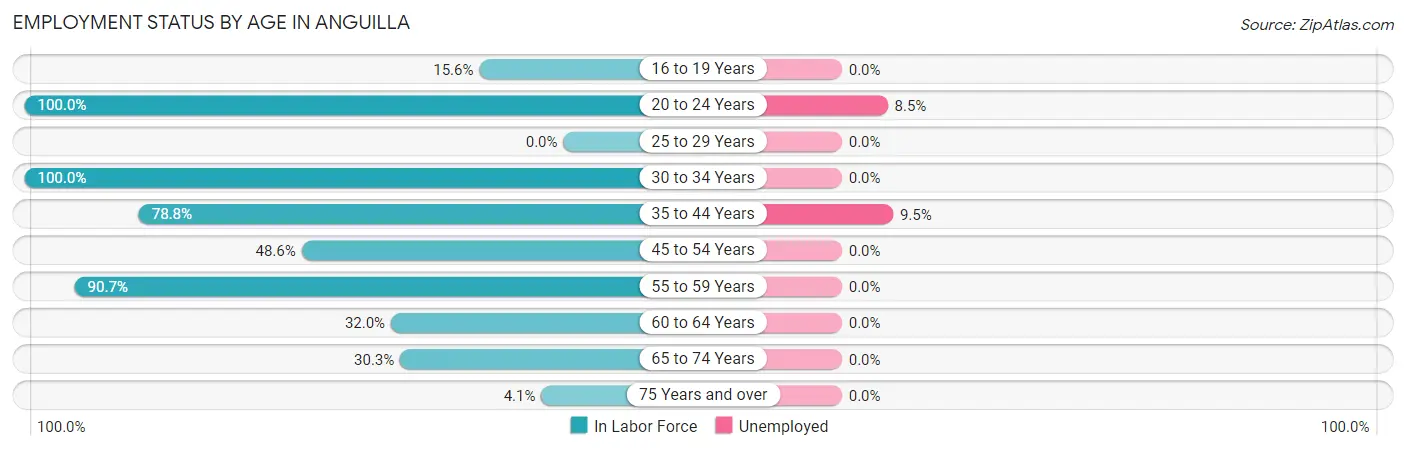 Employment Status by Age in Anguilla