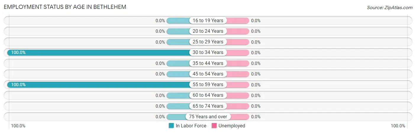 Employment Status by Age in Bethlehem