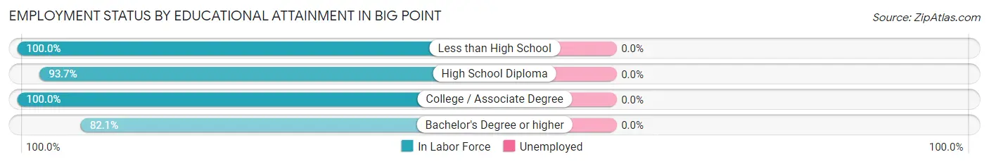 Employment Status by Educational Attainment in Big Point