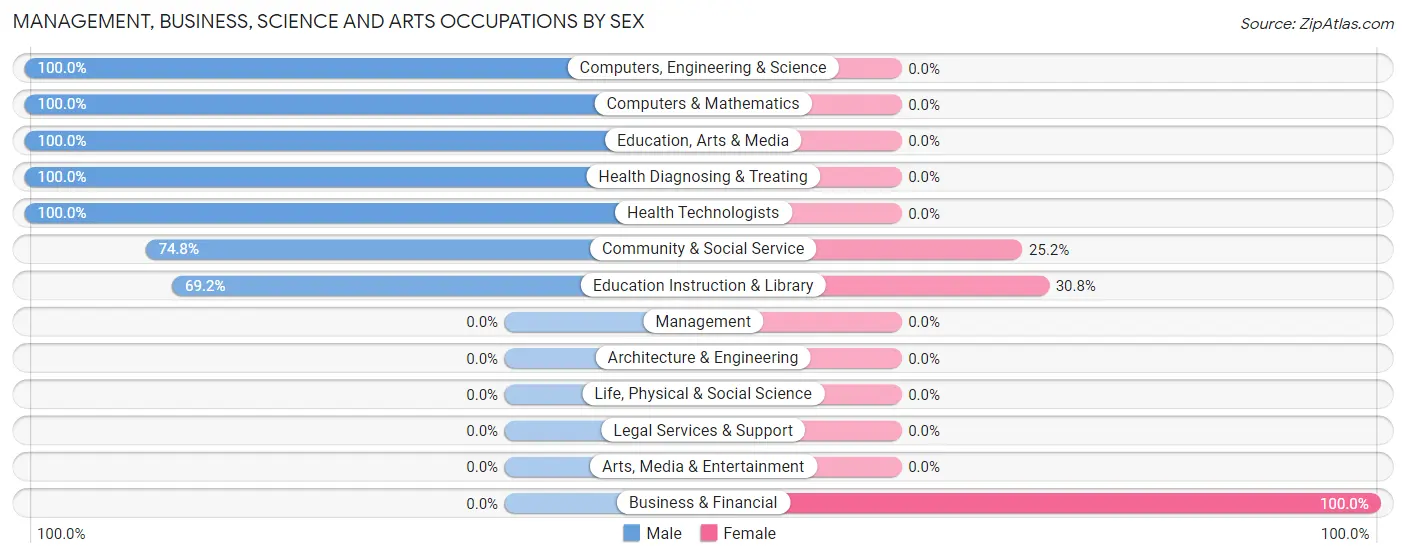 Management, Business, Science and Arts Occupations by Sex in Big Point