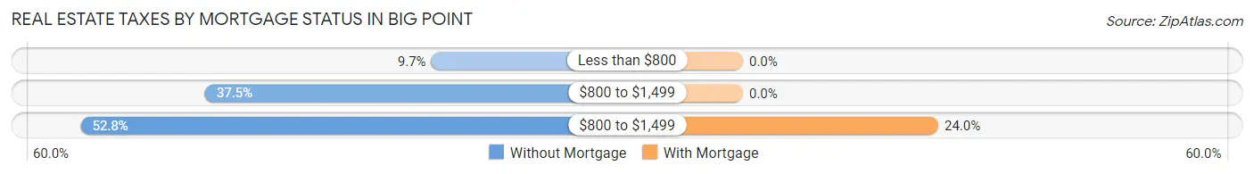 Real Estate Taxes by Mortgage Status in Big Point