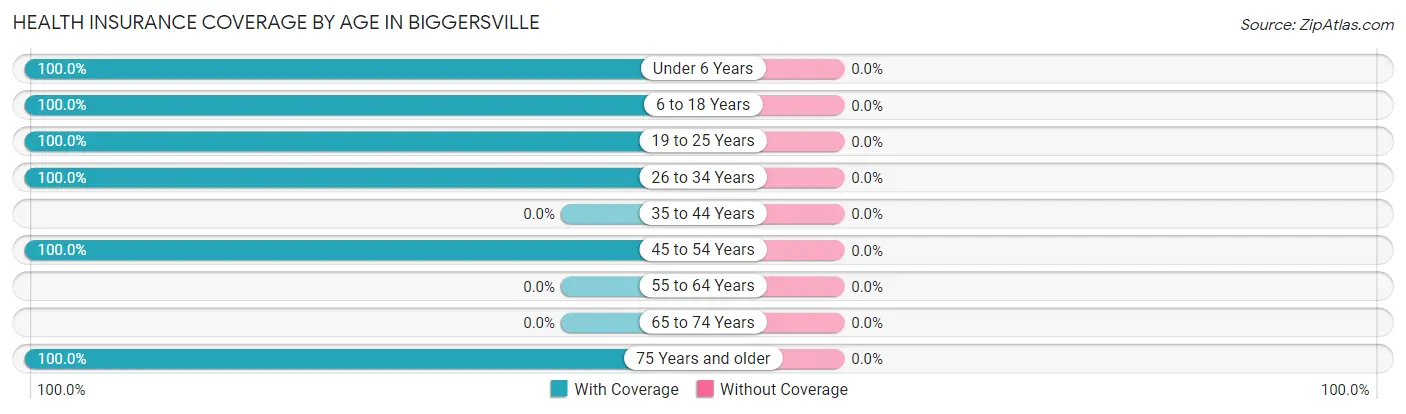 Health Insurance Coverage by Age in Biggersville