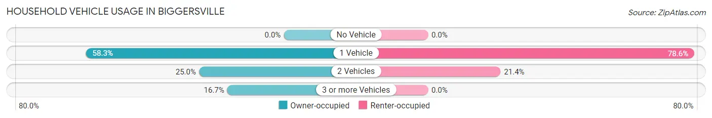 Household Vehicle Usage in Biggersville