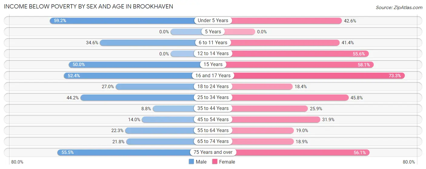 Income Below Poverty by Sex and Age in Brookhaven