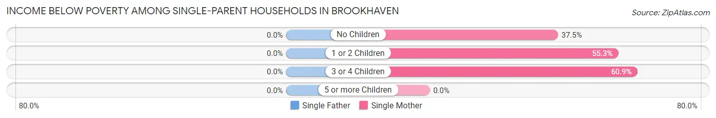 Income Below Poverty Among Single-Parent Households in Brookhaven