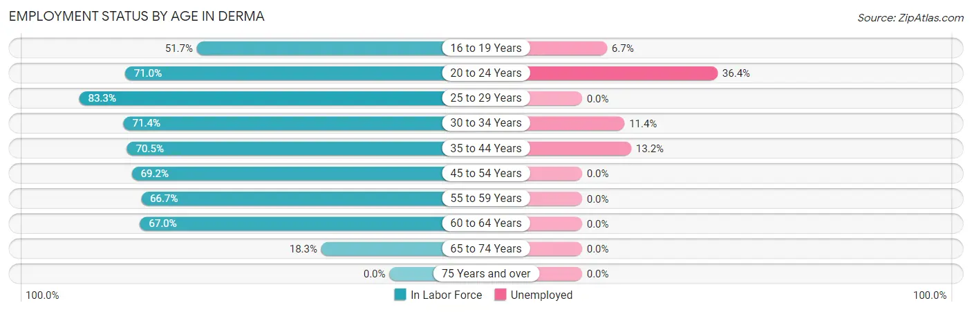 Employment Status by Age in Derma