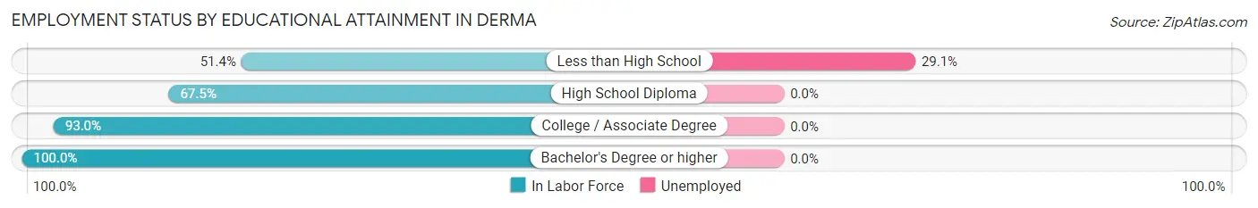 Employment Status by Educational Attainment in Derma