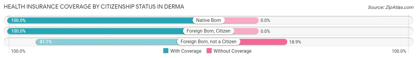 Health Insurance Coverage by Citizenship Status in Derma