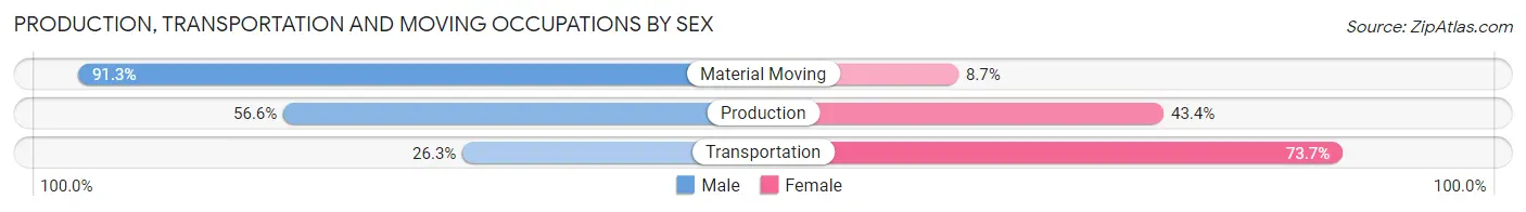 Production, Transportation and Moving Occupations by Sex in Duck Hill