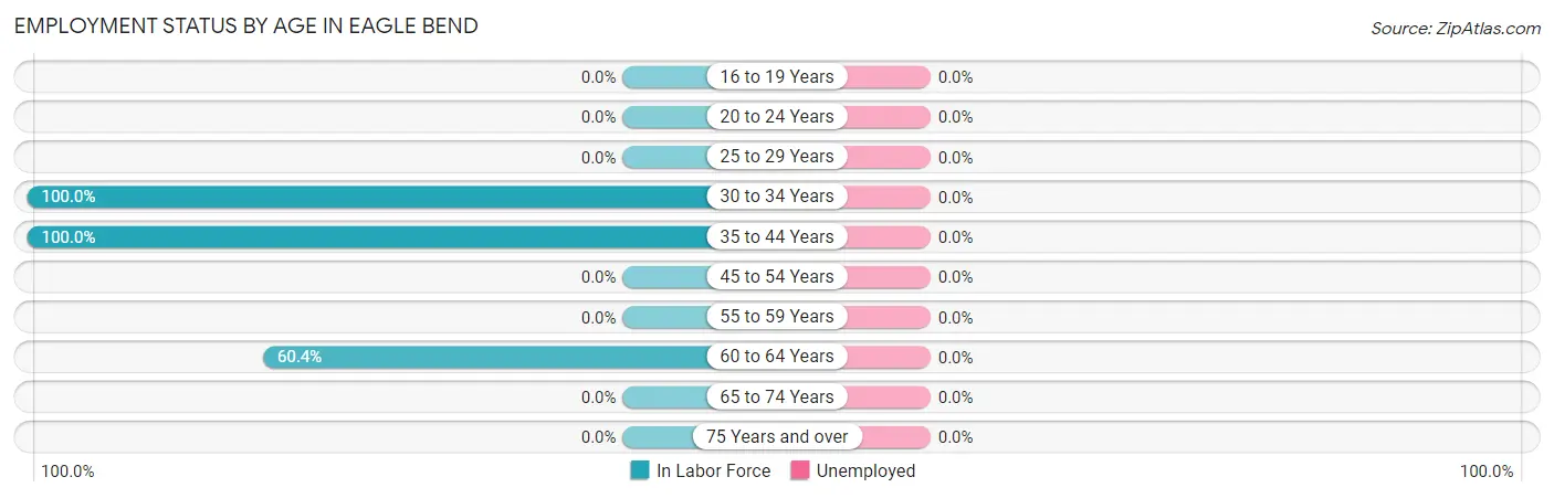 Employment Status by Age in Eagle Bend