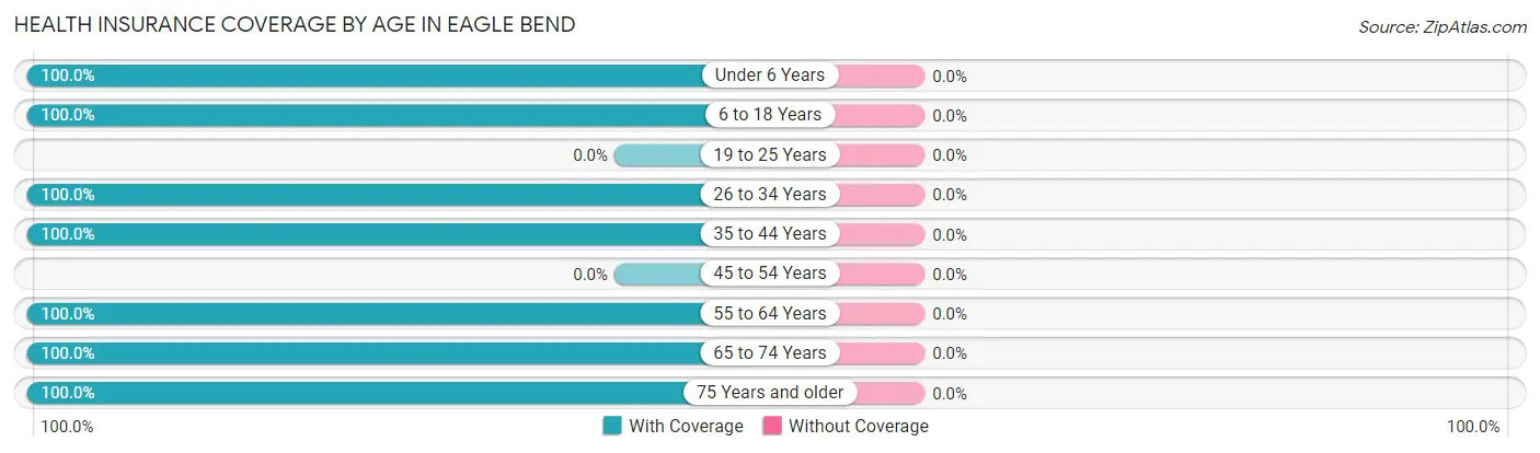 Health Insurance Coverage by Age in Eagle Bend