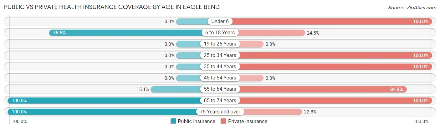 Public vs Private Health Insurance Coverage by Age in Eagle Bend