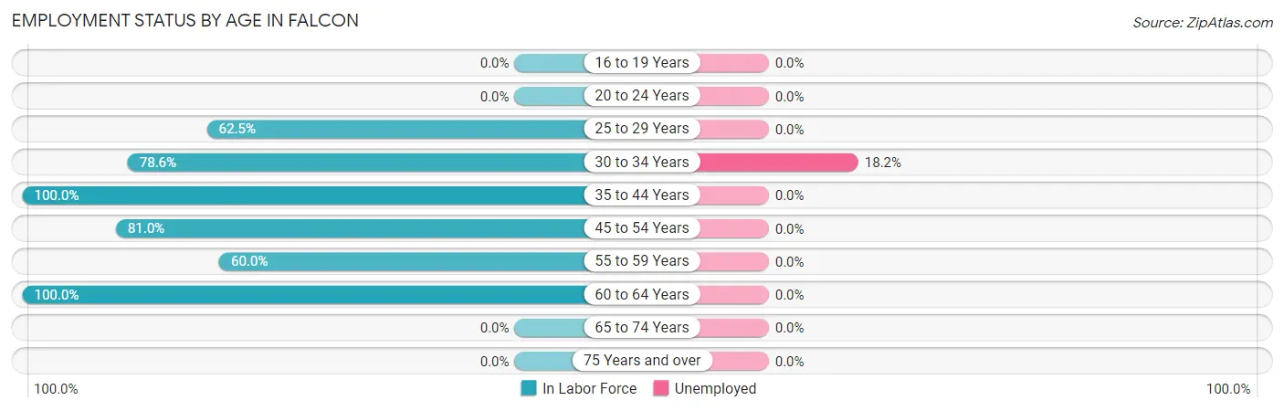Employment Status by Age in Falcon