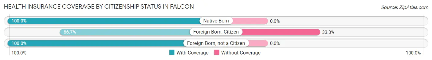 Health Insurance Coverage by Citizenship Status in Falcon