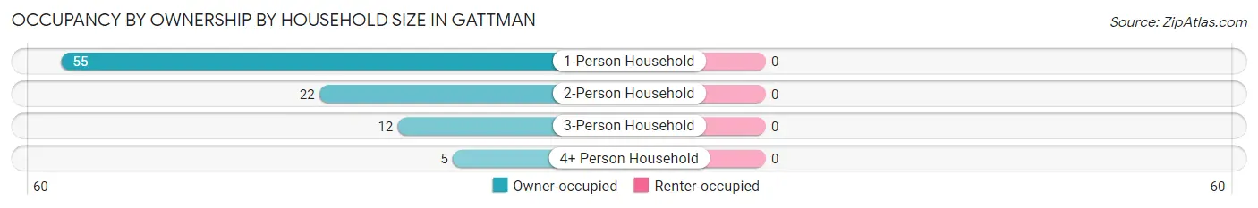 Occupancy by Ownership by Household Size in Gattman