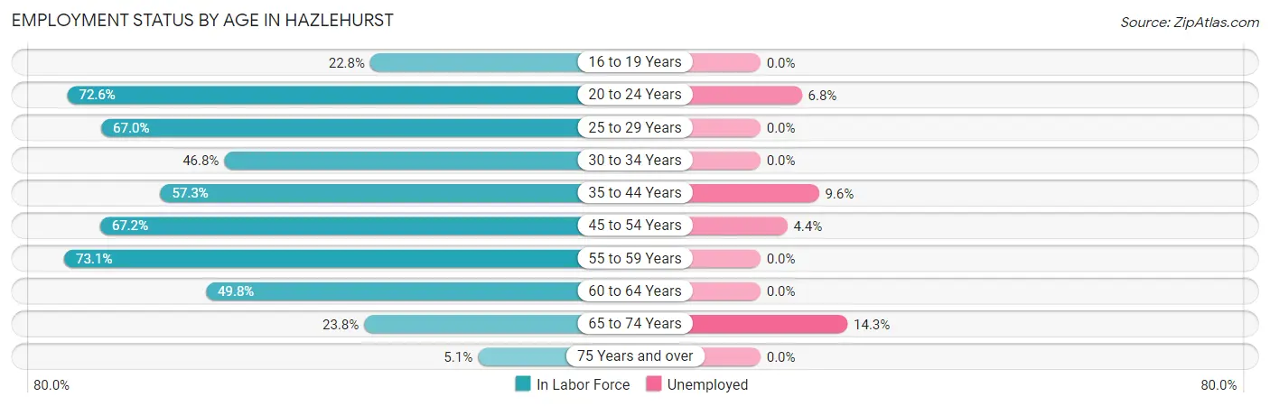 Employment Status by Age in Hazlehurst