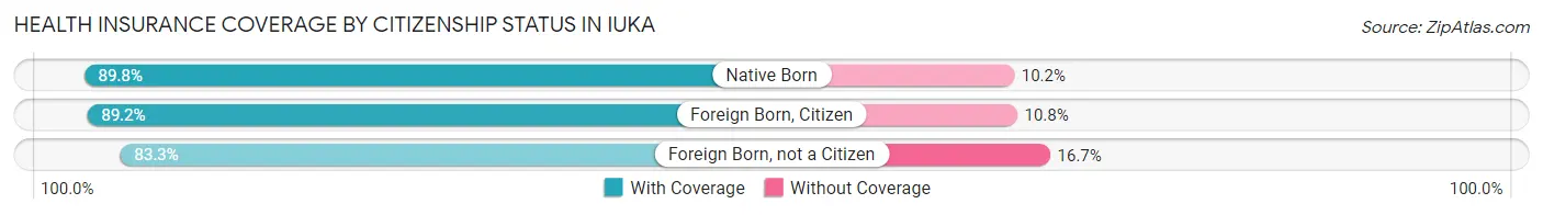 Health Insurance Coverage by Citizenship Status in Iuka