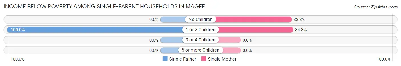 Income Below Poverty Among Single-Parent Households in Magee