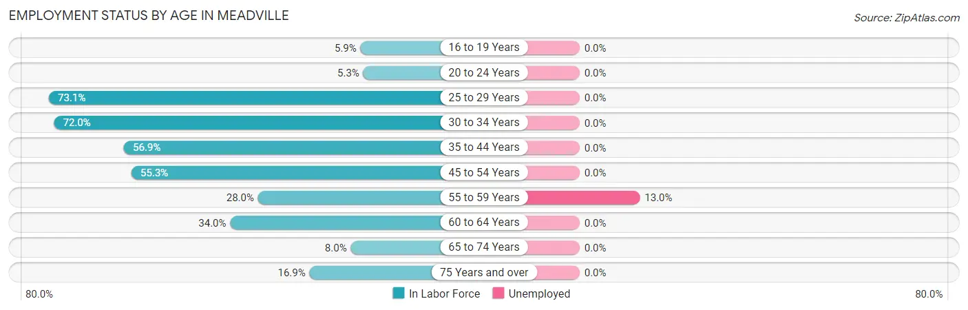 Employment Status by Age in Meadville
