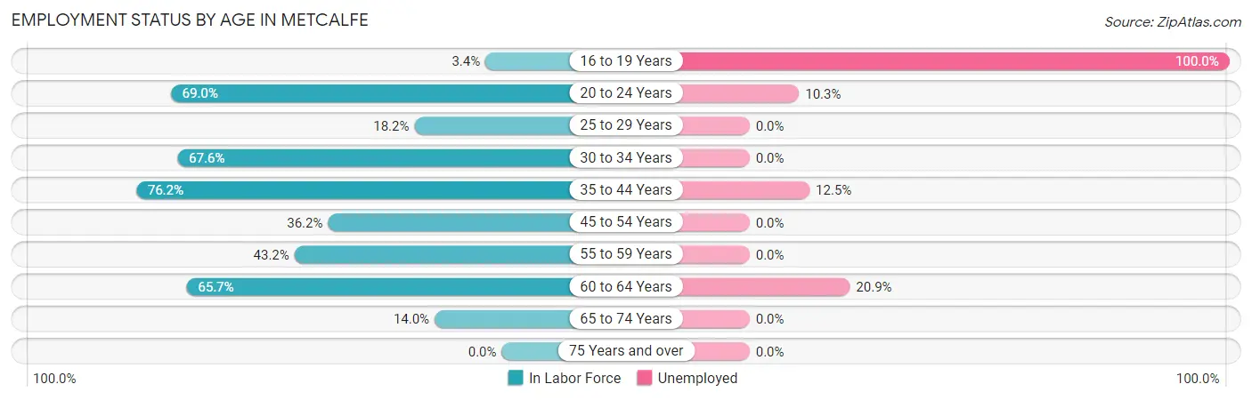 Employment Status by Age in Metcalfe