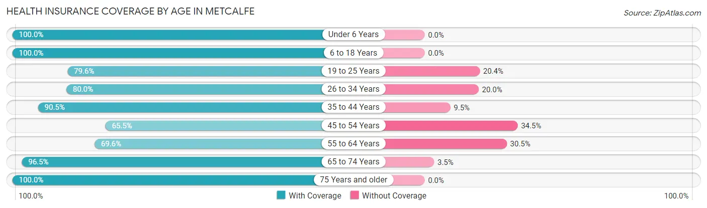Health Insurance Coverage by Age in Metcalfe