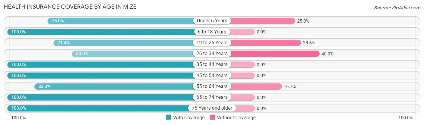 Health Insurance Coverage by Age in Mize