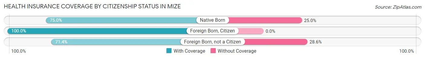 Health Insurance Coverage by Citizenship Status in Mize