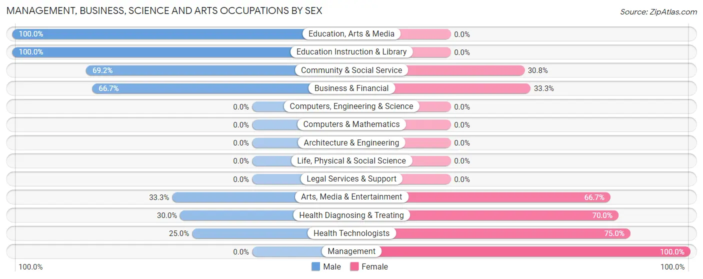 Management, Business, Science and Arts Occupations by Sex in Mize