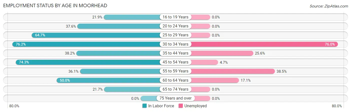 Employment Status by Age in Moorhead
