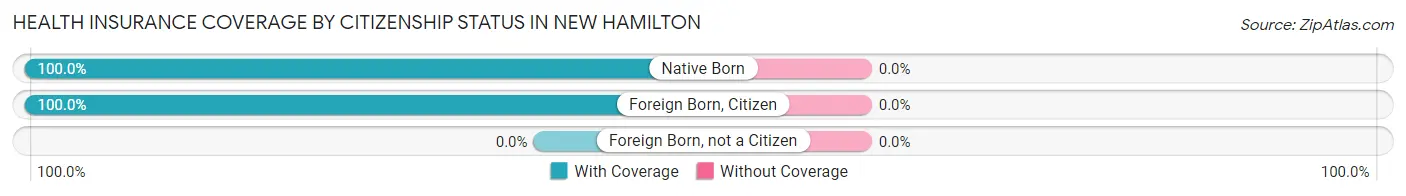 Health Insurance Coverage by Citizenship Status in New Hamilton