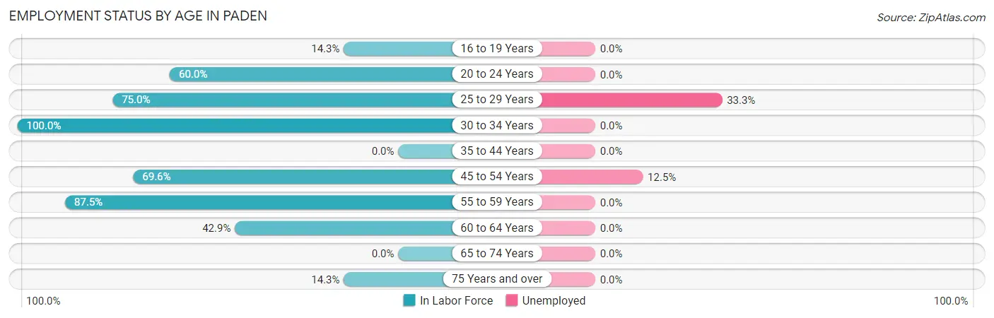 Employment Status by Age in Paden