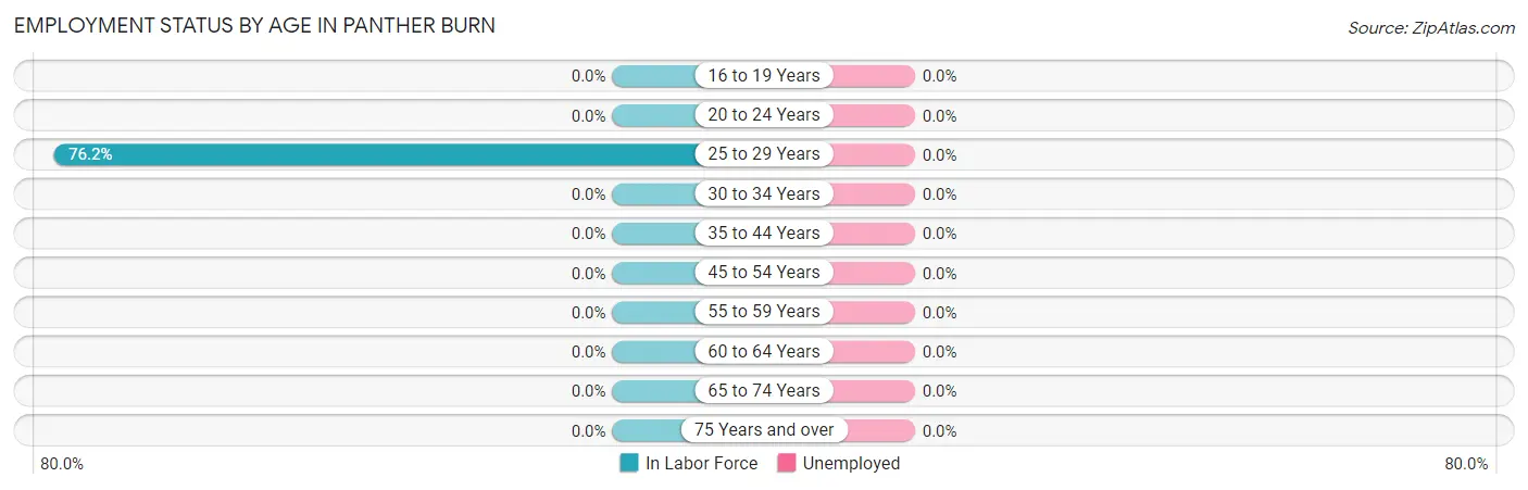 Employment Status by Age in Panther Burn